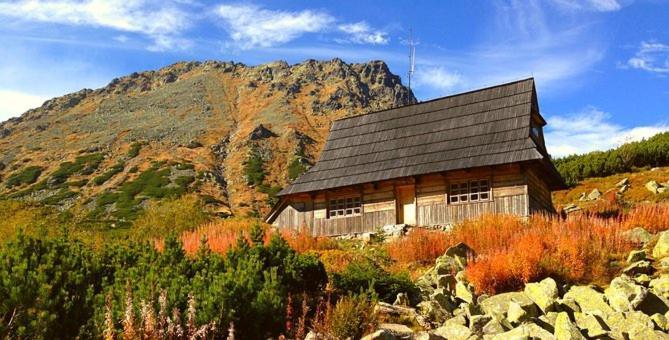 A3Apartament 2 Pokojowy Aneks Kuchenny 2 Lazienki Wlasne Na Korytarzu Villa Jumper Pobyt Na Termach Dla 2 Osob Gratis Zakopane Dış mekan fotoğraf