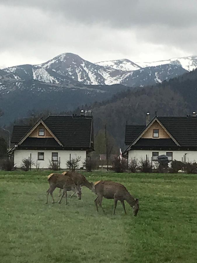 A3Apartament 2 Pokojowy Aneks Kuchenny 2 Lazienki Wlasne Na Korytarzu Villa Jumper Pobyt Na Termach Dla 2 Osob Gratis Zakopane Dış mekan fotoğraf