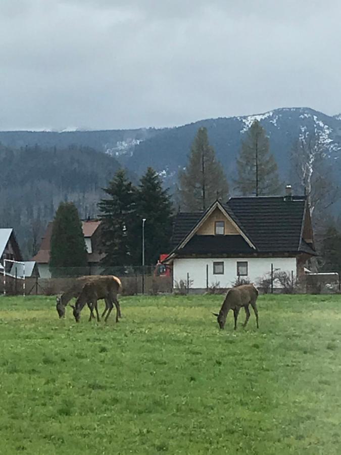 A3Apartament 2 Pokojowy Aneks Kuchenny 2 Lazienki Wlasne Na Korytarzu Villa Jumper Pobyt Na Termach Dla 2 Osob Gratis Zakopane Dış mekan fotoğraf