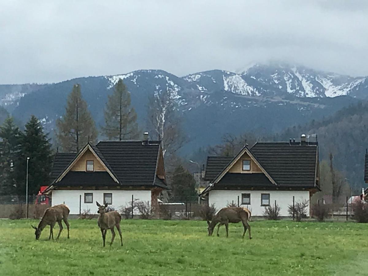 A3Apartament 2 Pokojowy Aneks Kuchenny 2 Lazienki Wlasne Na Korytarzu Villa Jumper Pobyt Na Termach Dla 2 Osob Gratis Zakopane Dış mekan fotoğraf